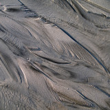Sand Feathers